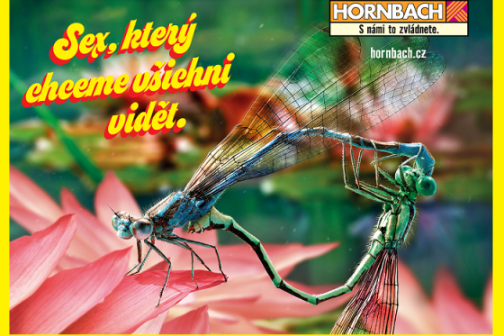 /media/12043/horbach_vazky_cz