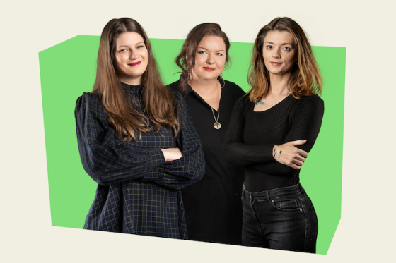 /media/20596/triad-ladies-hires-ra