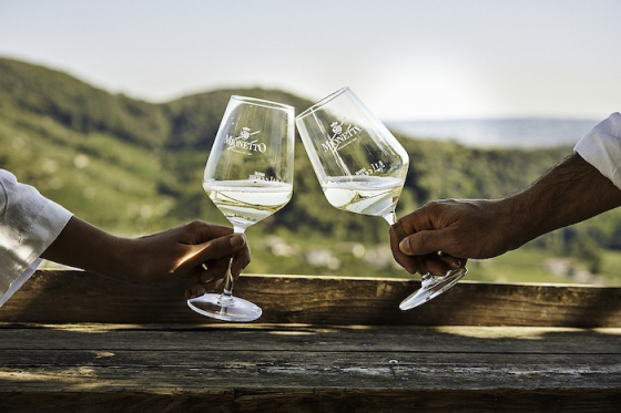 /media/25603/prosecco