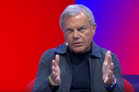 /media/9920/sorrell-2