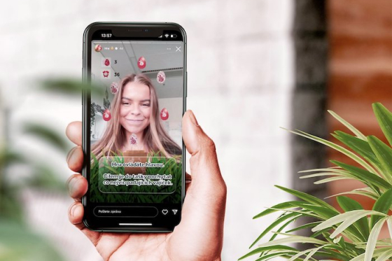 /media/24408/kosik_velikonoce