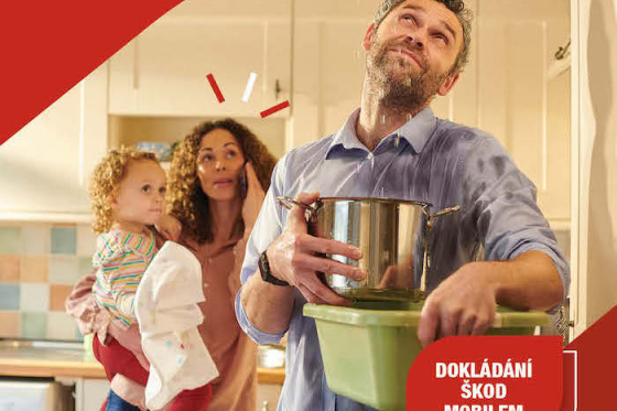 /media/25403/generalicp