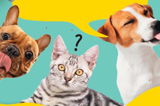 /media/nhblhg5q/billa_slider_kampan