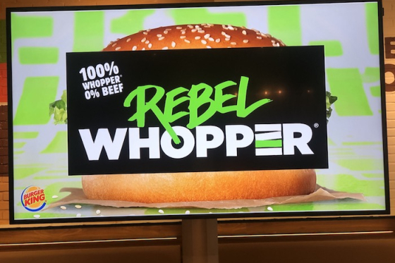 /media/10723/rebelwhopper_2