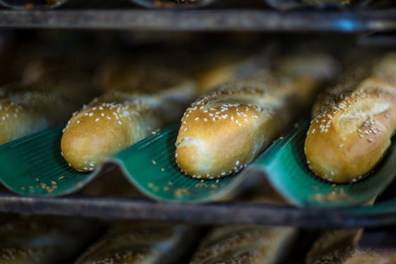 /media/12253/crocodille_bagety