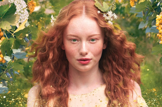 /media/14099/vinea_slider