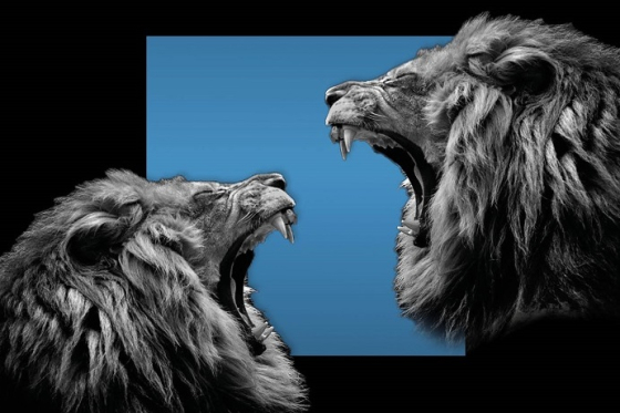 /media/14396/kampan_zoom_final_priroda