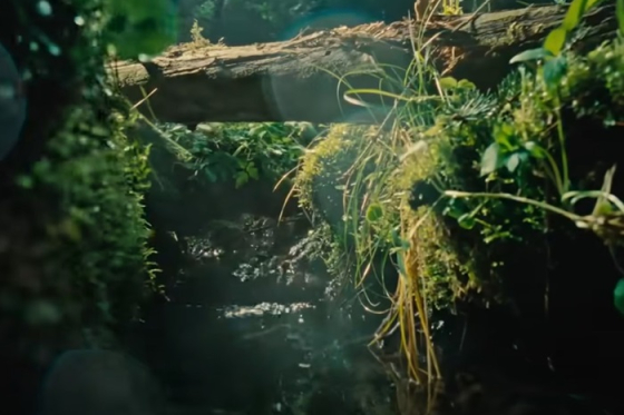 /media/1khbzely/rajec