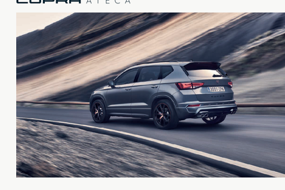 /media/7165/cupraateca