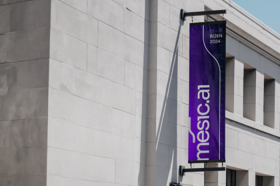 /media/yyfduot3/mesic-ai-foto