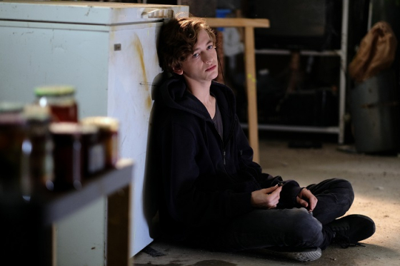 /media/10150/marty-is-dead