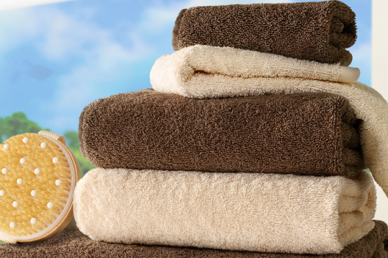 /media/0tujtcgu/sběratelská-kampaň-v-albertu_slider