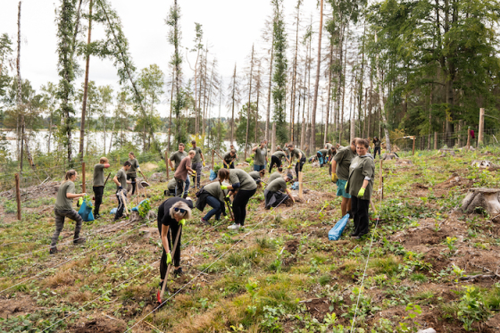 /media/zxcdcode/lidlles