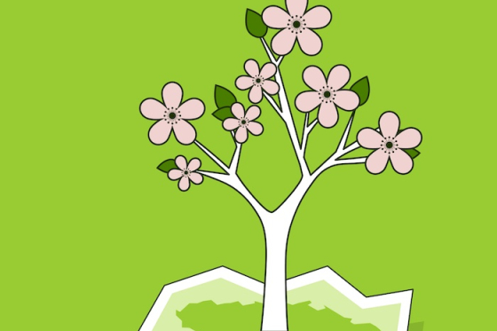 /media/flrhq2ci/air-bank_kde-kvete-laska