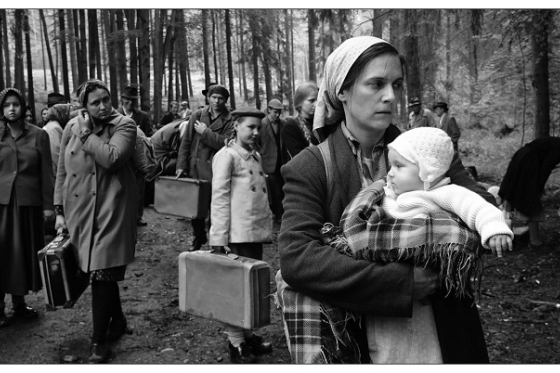 /media/15468/krajina-ve-stinu_foto_m