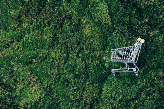 /media/16129/eco_eshop_retail_shutterstock