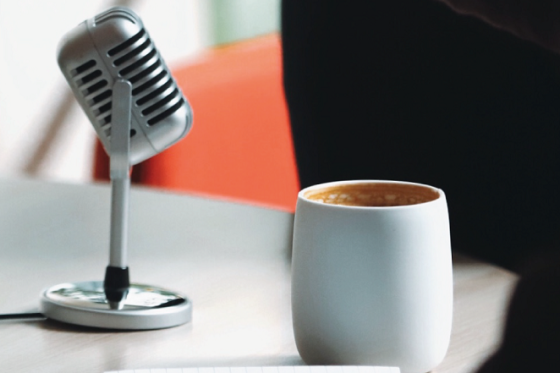 /media/17113/podcast