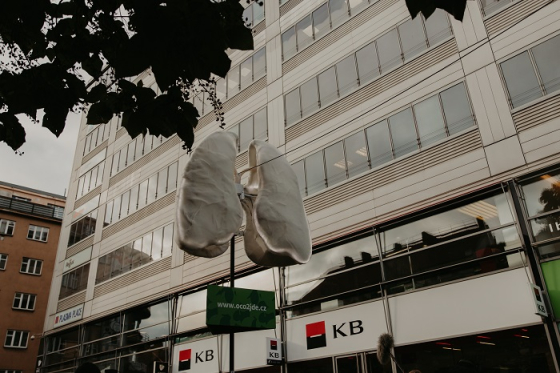 /media/18537/kb-instalace-plic