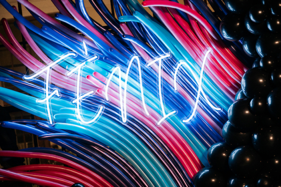 /media/22607/fenix_2