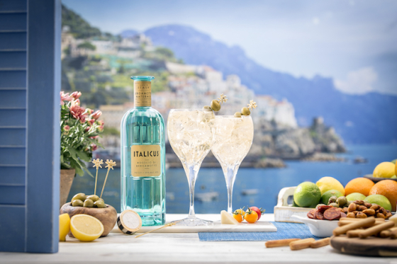 /media/25579/italicus