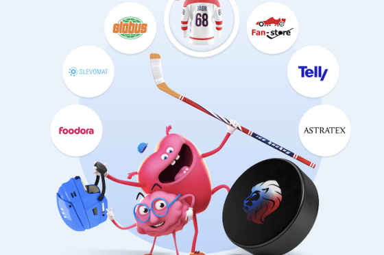 /media/towmnvst/skippay_hokej