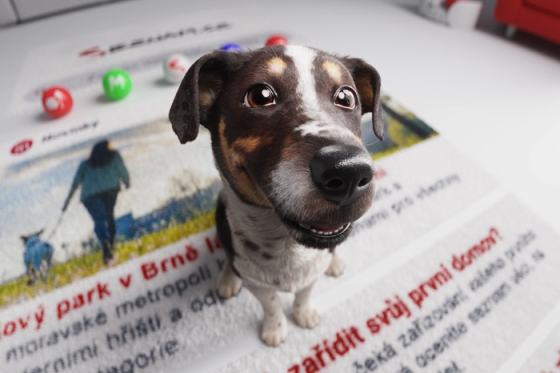 /media/liuf0ewm/seznam_kampan