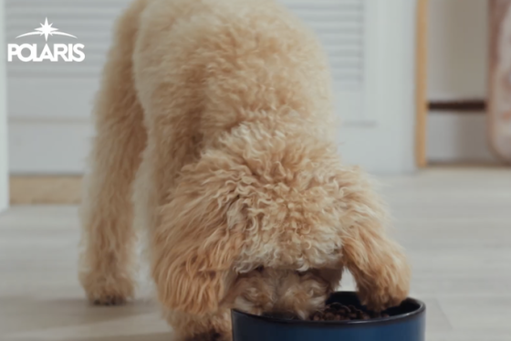 /media/syhfvpya/polaris_slider