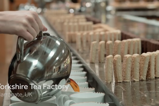 /media/5030/yorkshiretea_domino