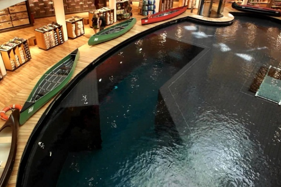 /media/2138/globbertrotter