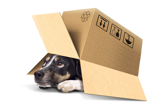 /media/2690/seznam_vyhledavani