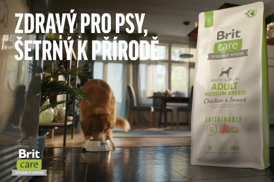 /media/24250/britcaresustainable