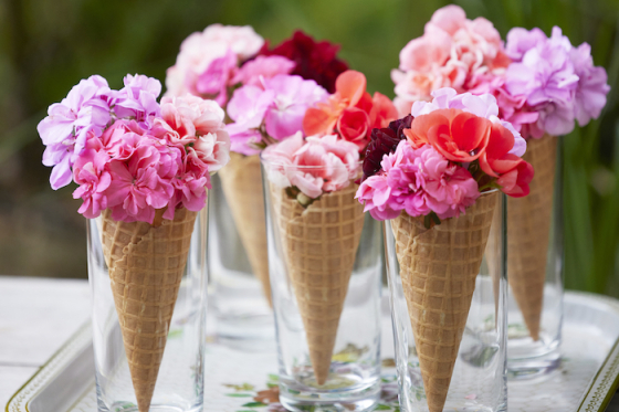 /media/25398/pelargonie_eu