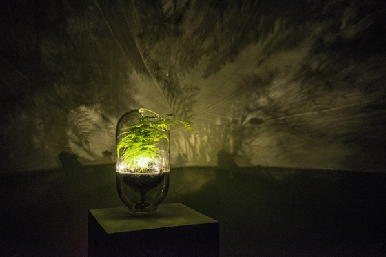 /media/4121/living-light-lamp