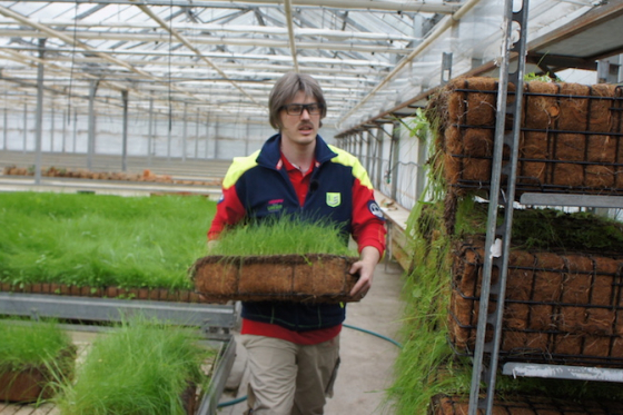 /media/16465/utajeny-s-e-f-2021