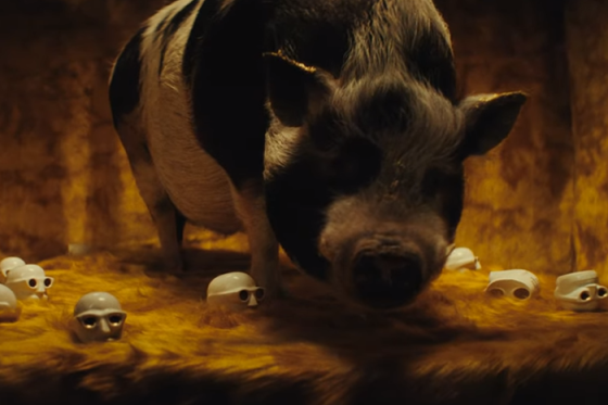 /media/2qmbv5bo/adc_award