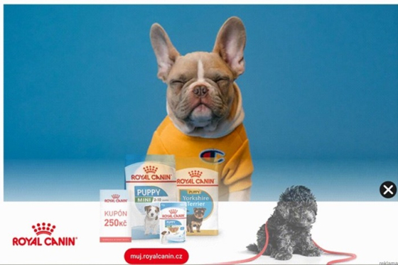 /media/wfhh5iga/ukazka_kontext