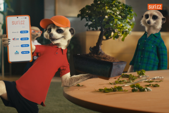 /media/f3df00jc/suri