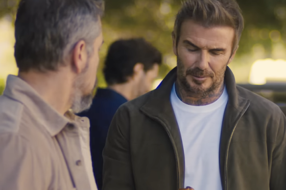 /media/hsgfx1dk/davedavid