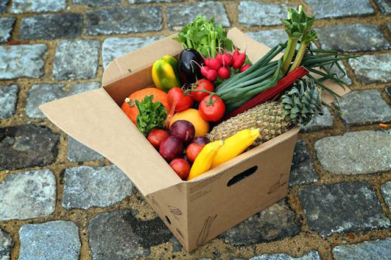 /media/1732/freshbedynky_ilu_mala