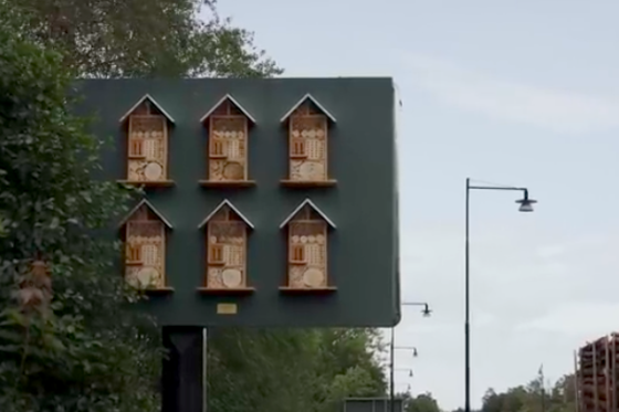 /media/9958/mcdo_vcely