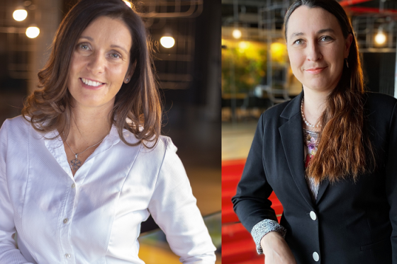 /media/15383/hajnova_stepanovska