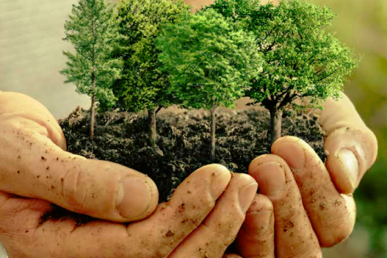 /media/16066/bauhaus_slider