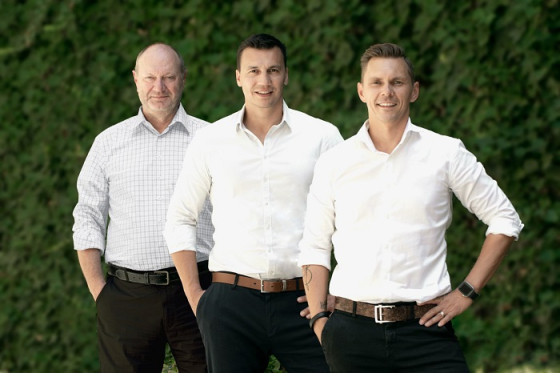 /media/19551/arbomedia_vedeni