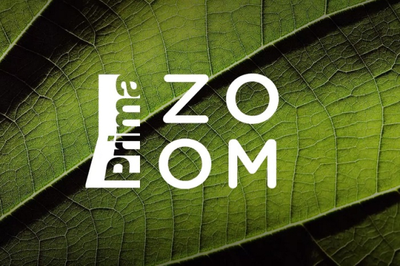 /media/24211/prima-zoom