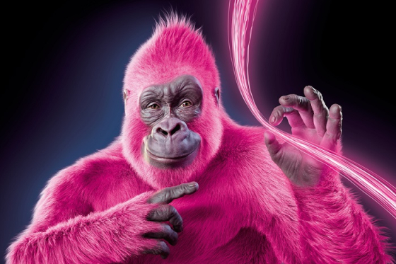 /media/25555/t-fiber-kli-c-ovy-vizua-l-ii