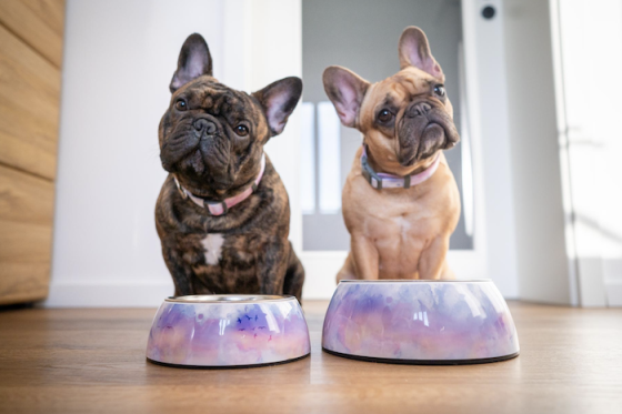 /media/ud4deami/superzoo_gump_limitovanaedice