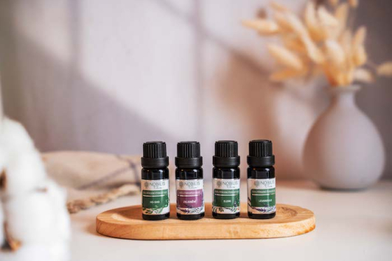 /media/zrddp2qb/nobilistilia_novavizualniidentita