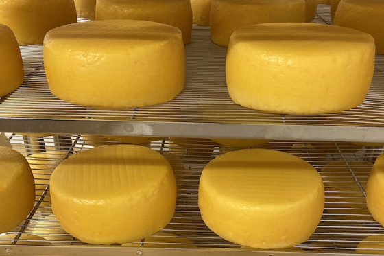 /media/qp5hjvjp/madeta