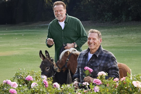 /media/pymj22jy/parkside