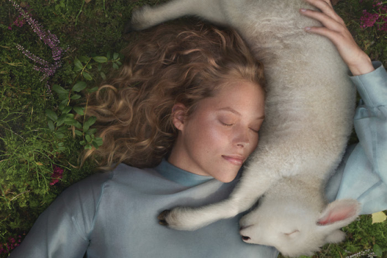 /media/16420/tento_rebranding_slider